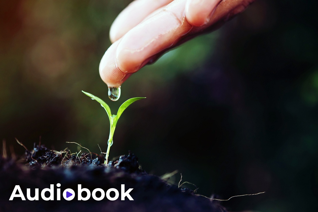 Bat dau lai hinh anh