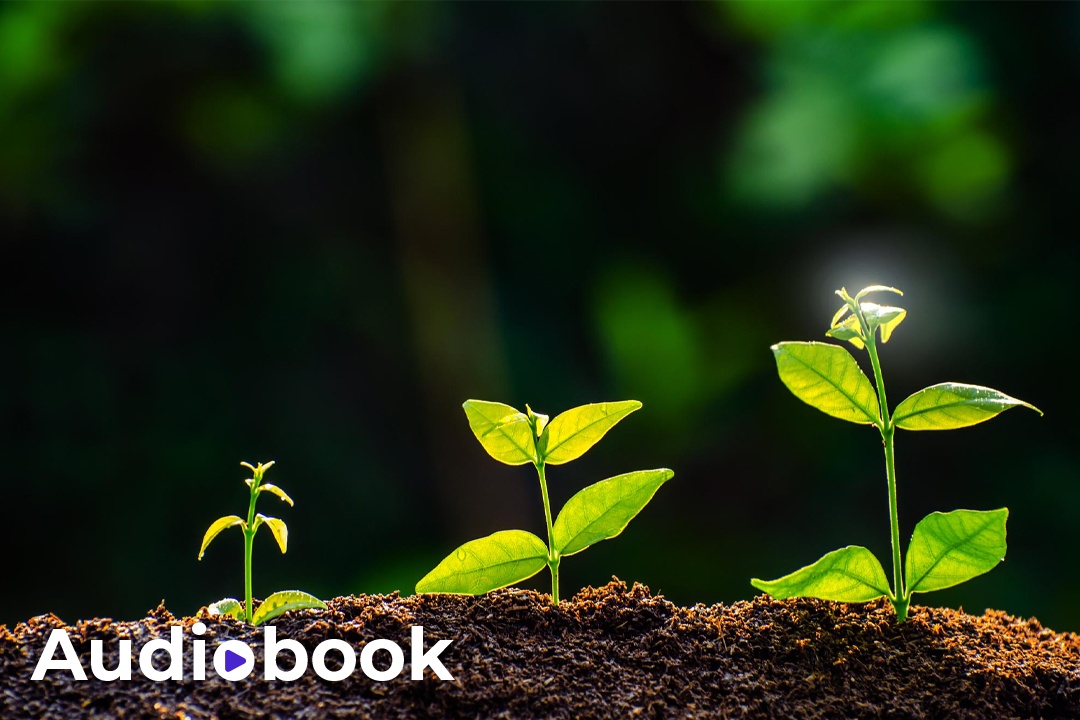 Nhan - Duyen - Qua hinh anh