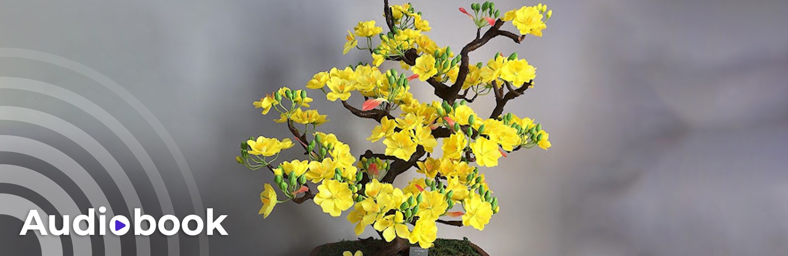 tản văn ảnh 1 tan van anh 1