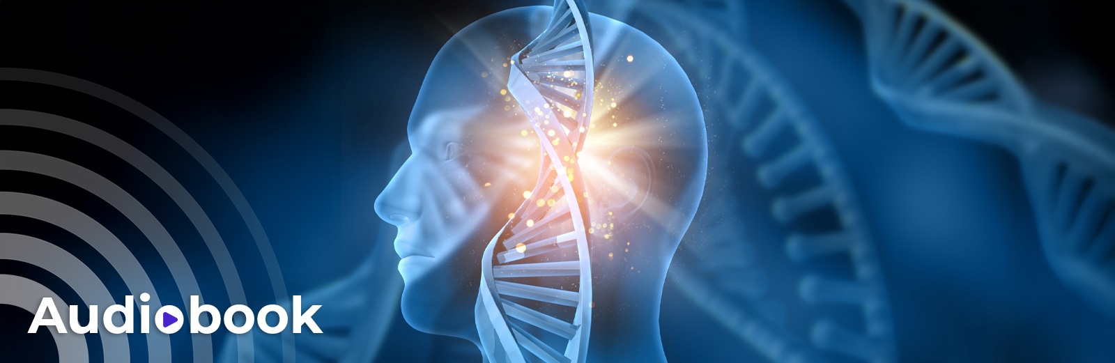 Trinh Xuan Duc anh 1