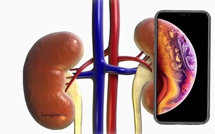 Apple tự cạnh tranh chính mình ảnh 4 Apple tu canh tranh chinh minh anh 4