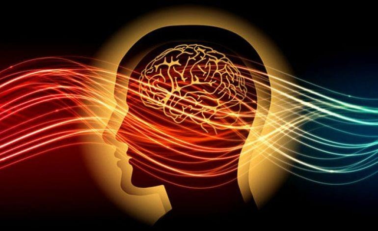 AI sẽ không thống trị thế giới, con người không trở thành nô lệ AI ảnh 2 AI se khong thong tri the gioi, con nguoi khong tro thanh no le AI anh 2