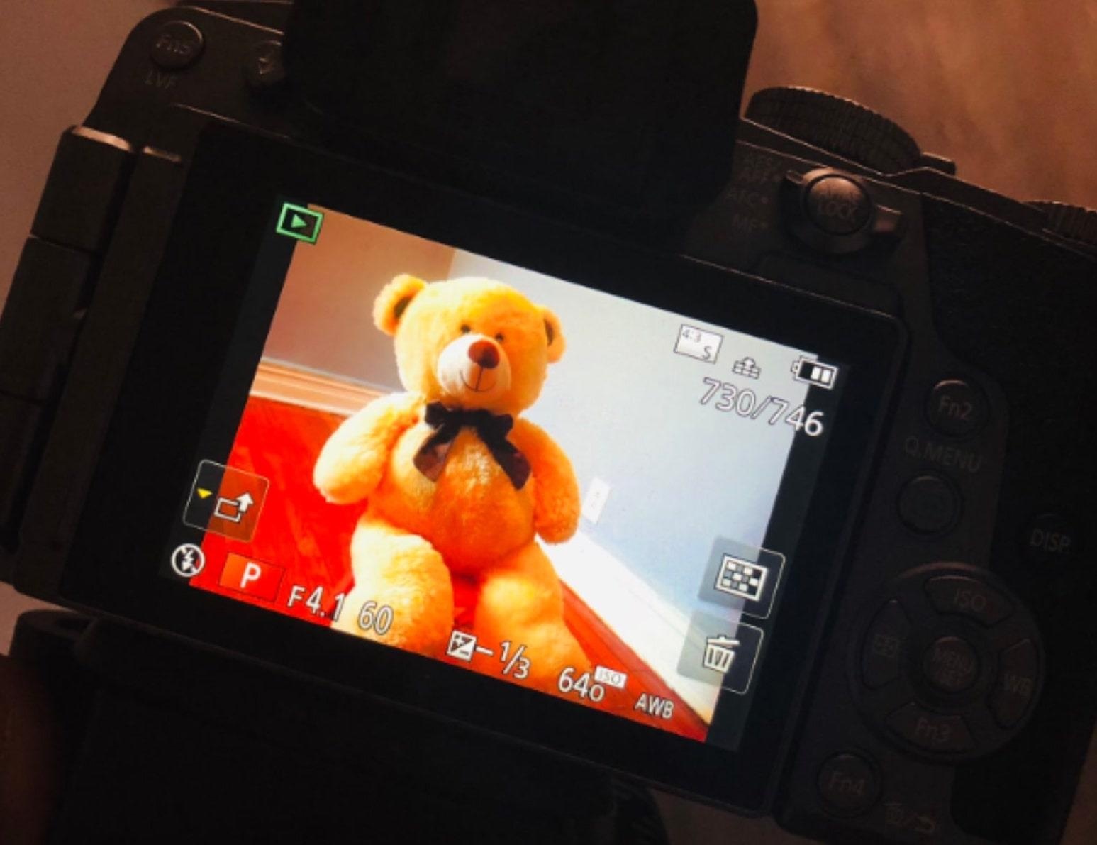 Nhiep anh gia 3 tuoi,  co be chup anh gay sot anh 2