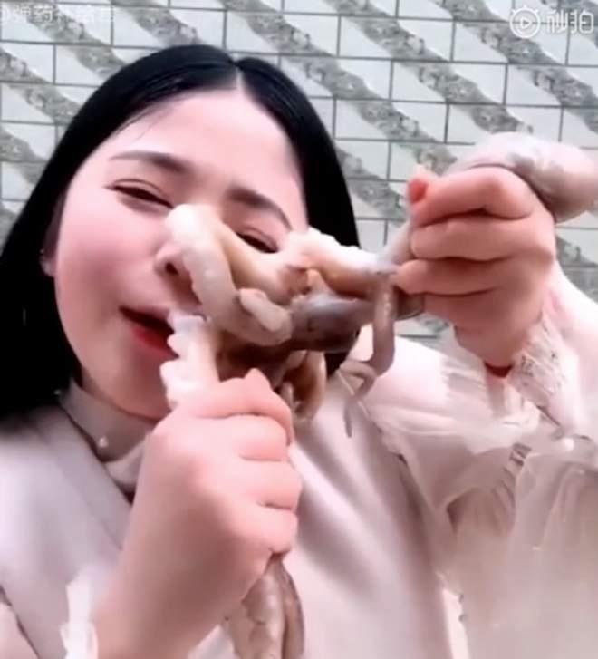 Bach tuoc 'phan cong' khi bi an song hinh anh