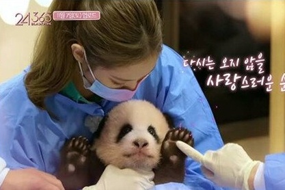 YG huy chieu show sau khi BlackPink bi chi trich hinh anh