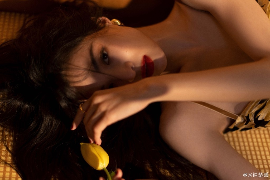 Su nghiep lan dan cua Chung So Hy anh 10