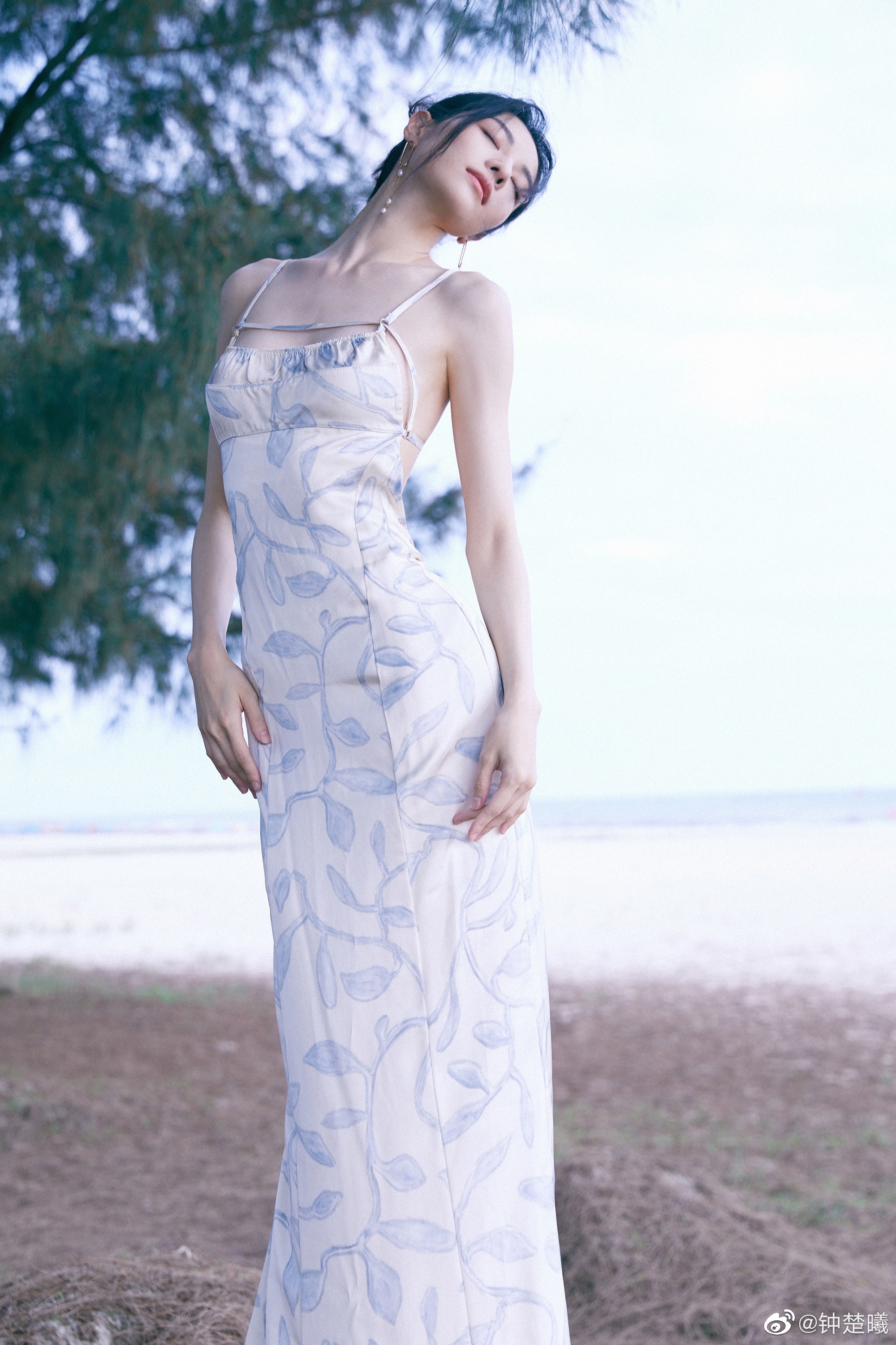 Su nghiep lan dan cua Chung So Hy anh 3