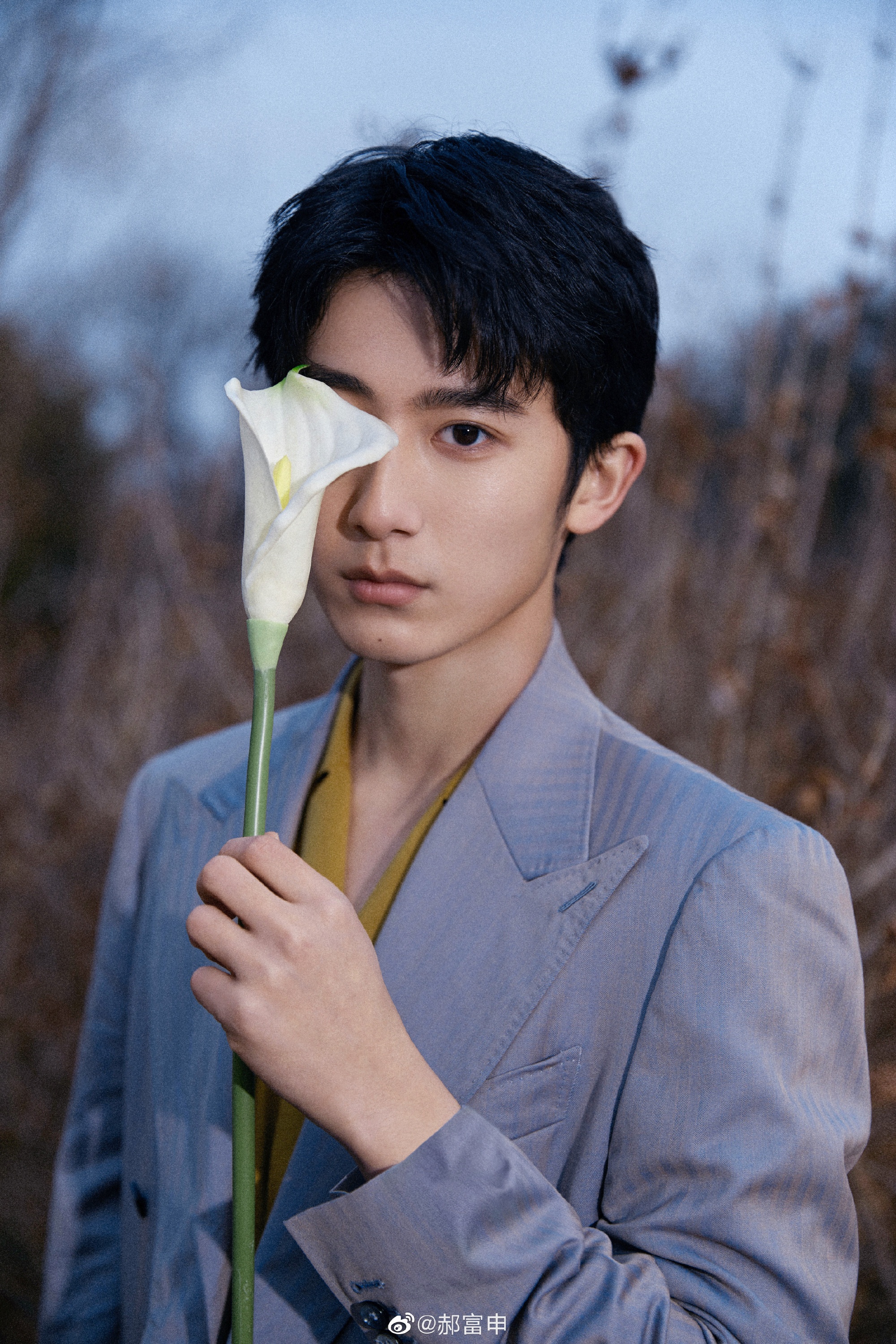 Su nghiep cham dut o tuoi doi muoi cua nghe si Trung Quoc anh 5