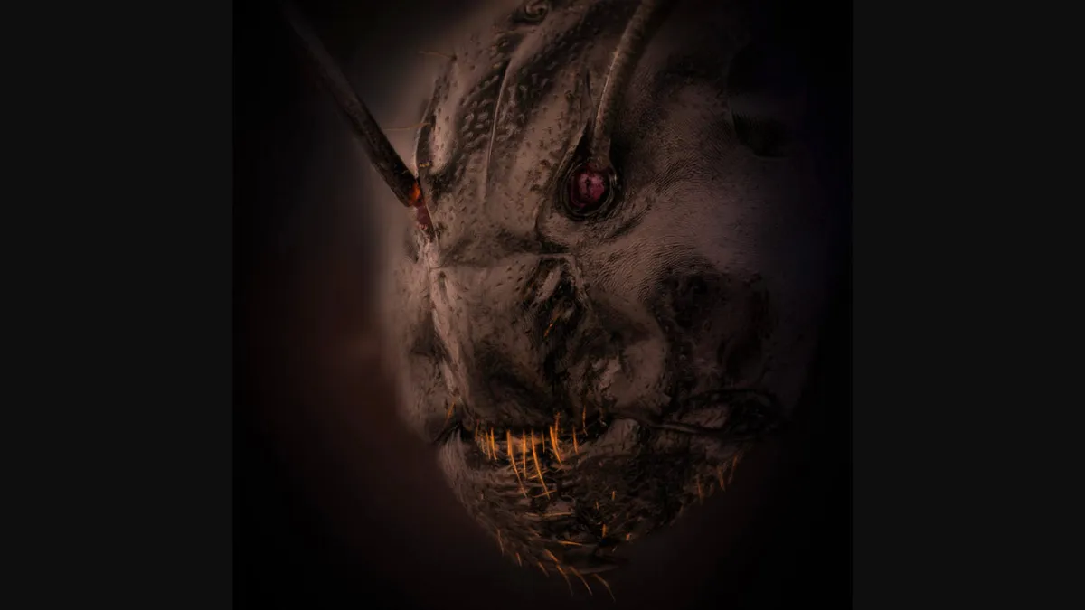 Buc anh chup can mat con kien hinh anh