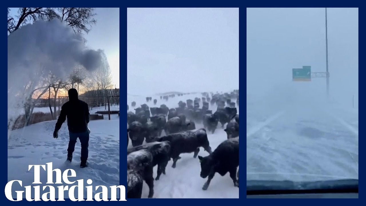 Tran bao tuyet lich su khien hon 30 nguoi chet o My hinh anh