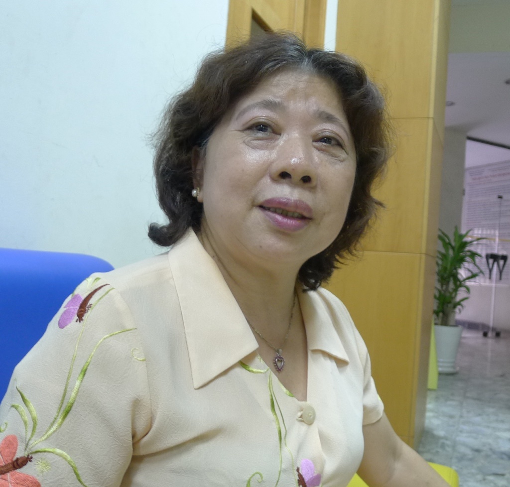 Tranh luan ve chien luoc phat trien TPHCM anh 1