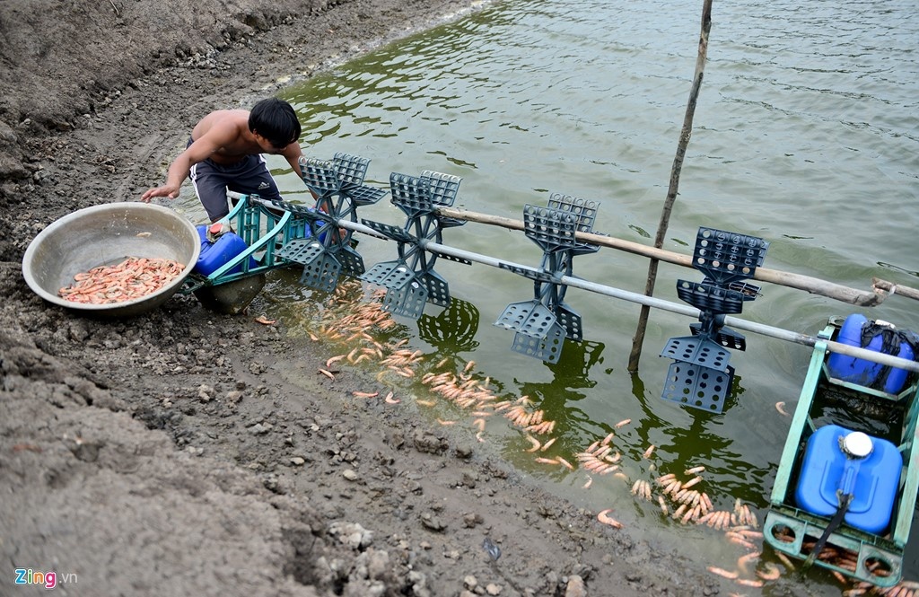 mui hoi thoi o Phu My Hung bat nguon tu Da Phuoc anh 1