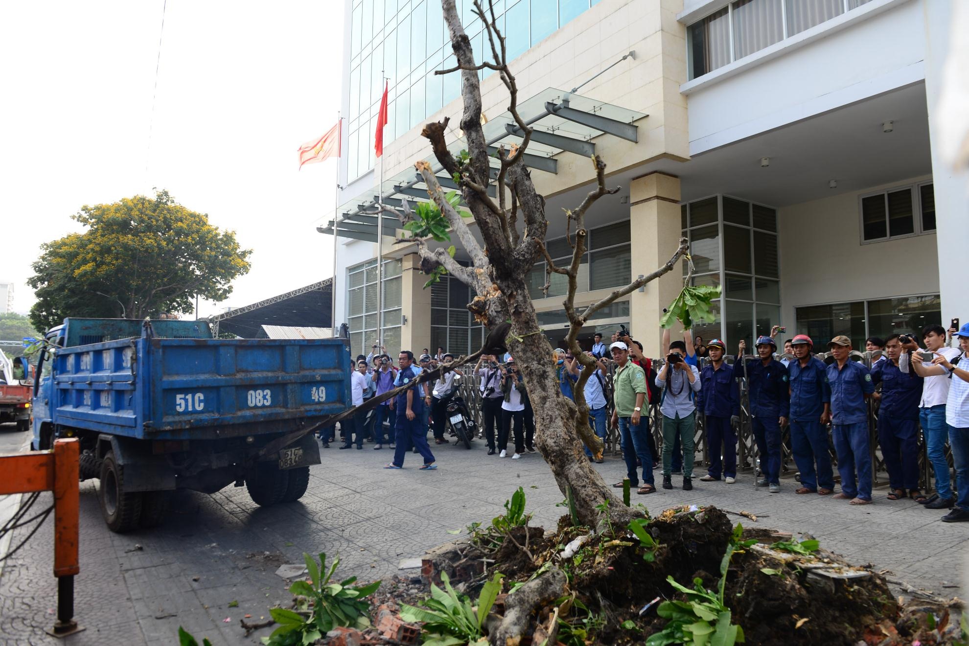 Via he Chau Au: ban buon,  bia bot va ca phe anh 3