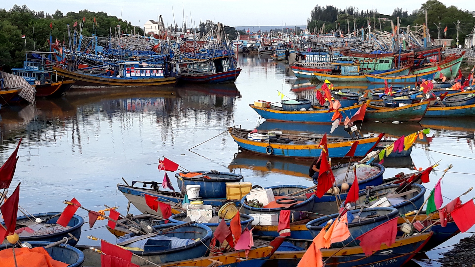 Mien Nam ung pho bao Damrey anh 6