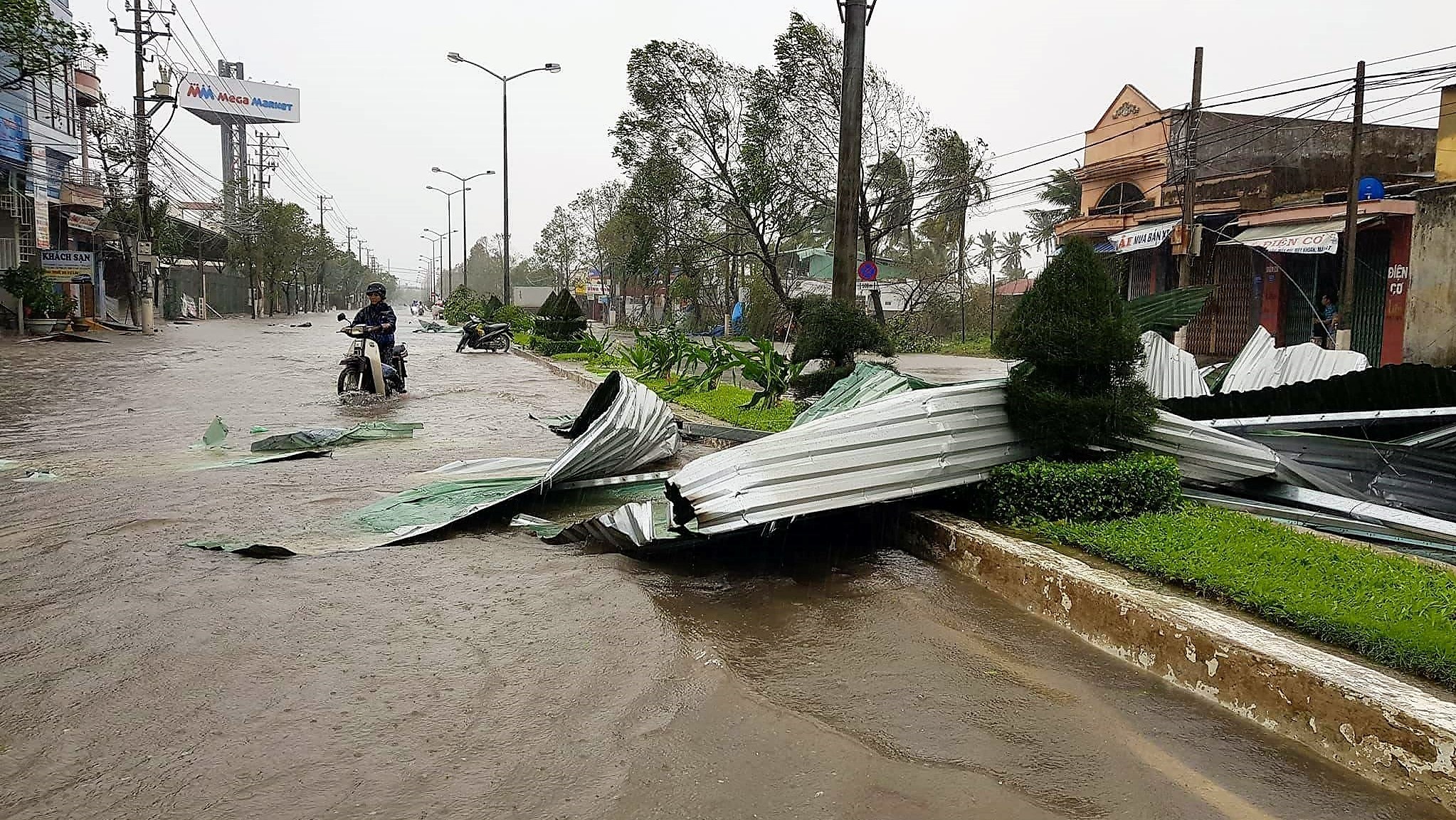 Cay do, nha toc mai khi bao do bo Khanh Hoa - Phu Yen hinh anh