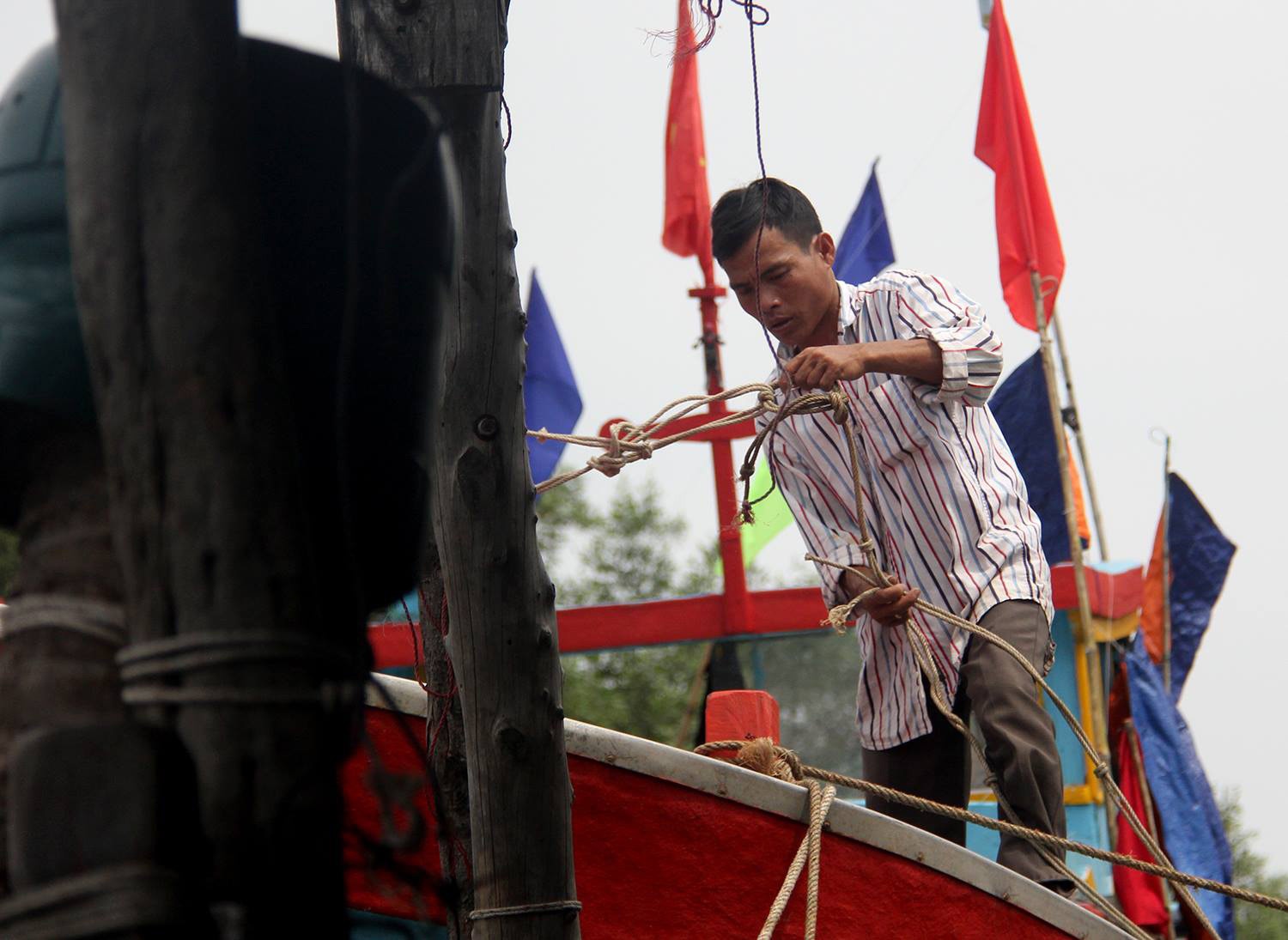 TP.HCM cho phep tau thuyen hoat dong tro lai anh 1