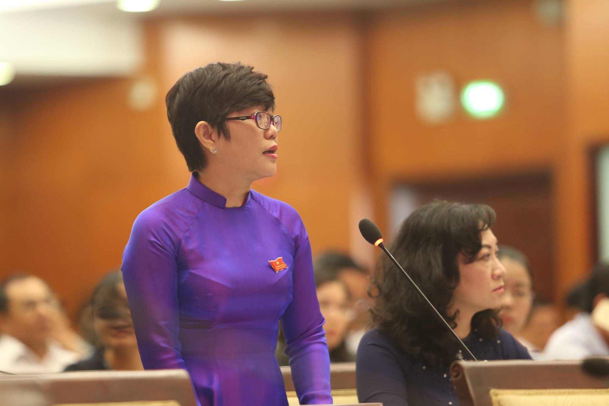 HĐND chất vấn về bạo hành trẻ em ảnh 2 HDND chat van ve bao hanh tre em anh 2