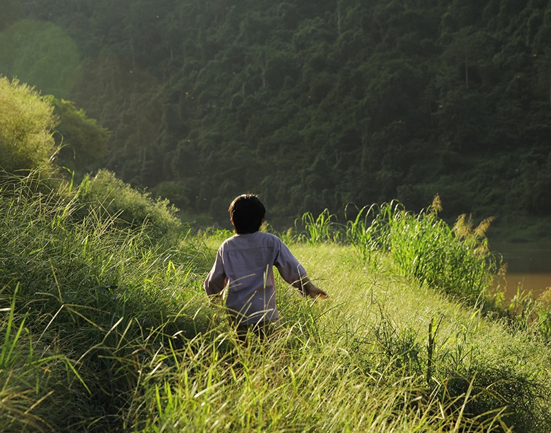 Phim Viet va giac mo tro thanh bua tiec hinh anh hinh anh