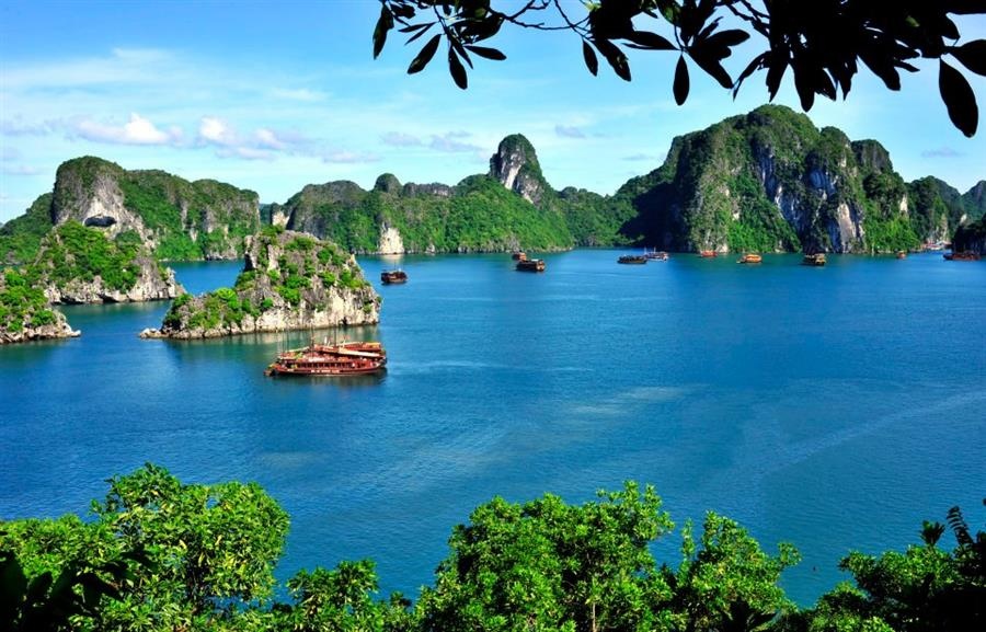 ‘King Kong se co nhung canh quay tren khong o vinh Ha Long’ hinh anh