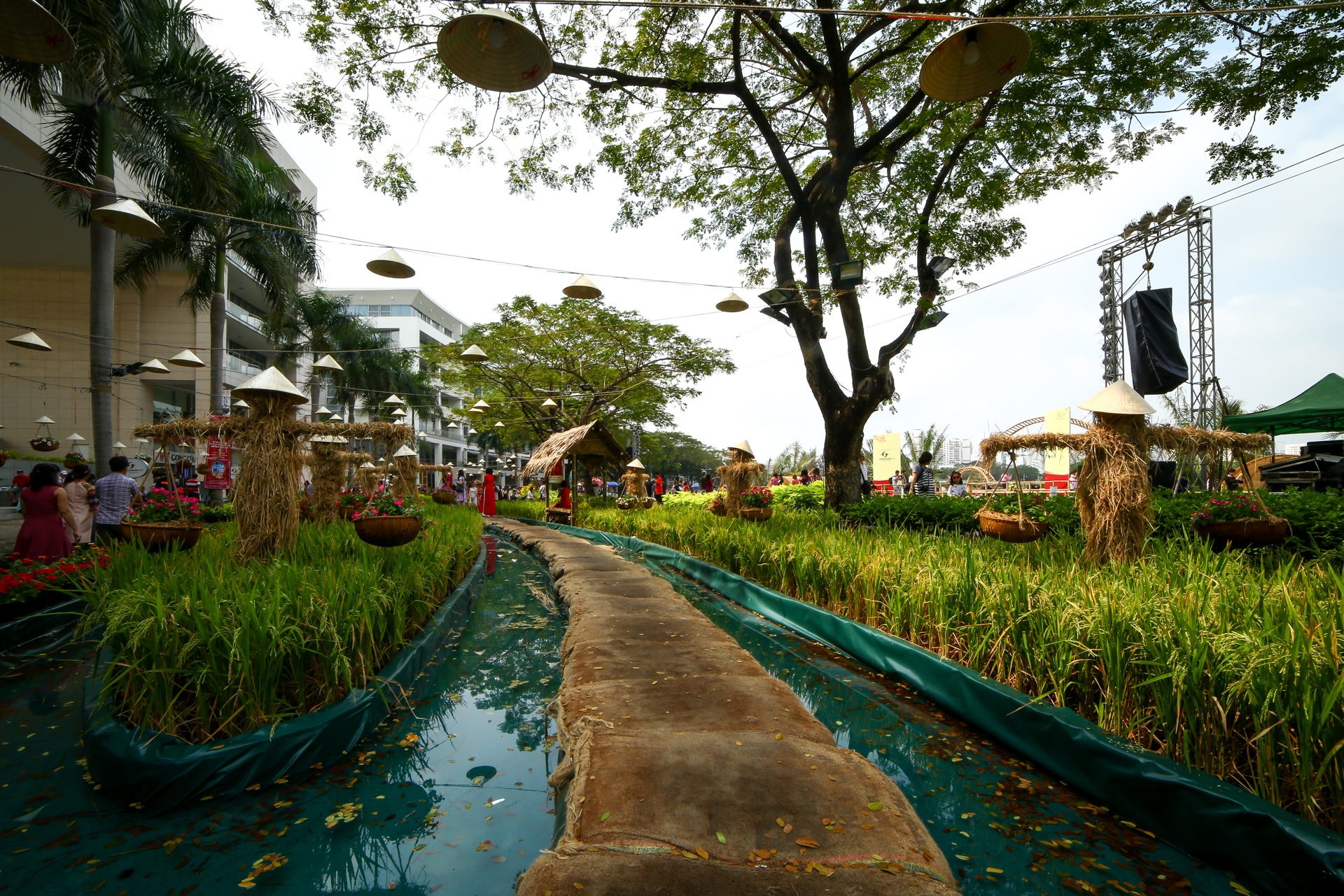 hoi hoa xuan tai anh 1