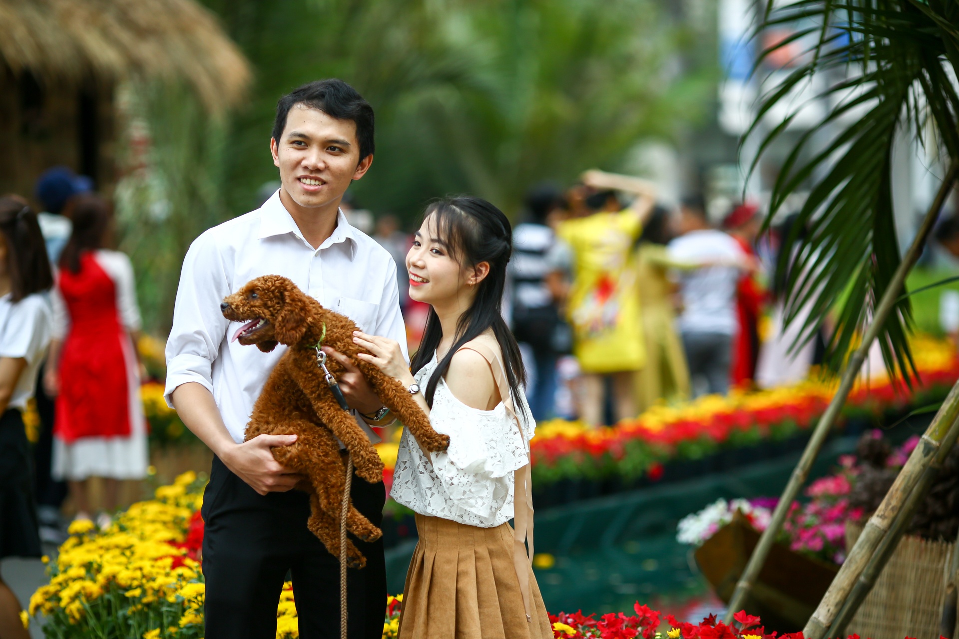 hoi hoa xuan tai anh 13