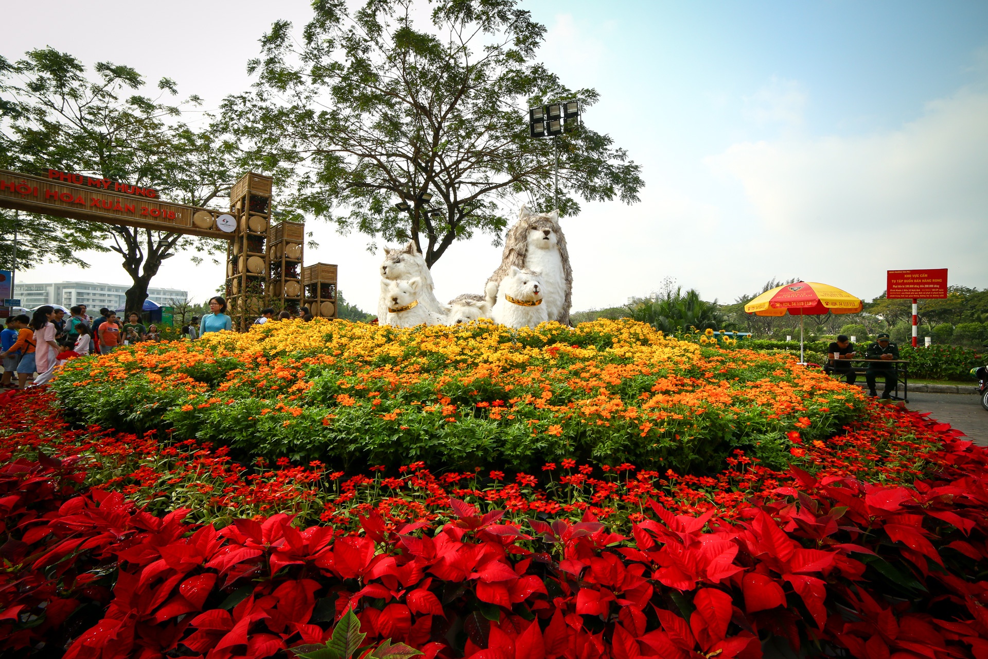 hoi hoa xuan tai anh 12