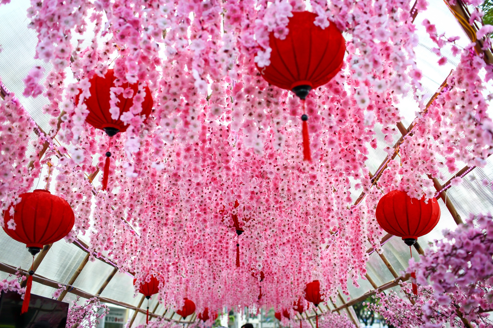 hoi hoa xuan tai anh 9