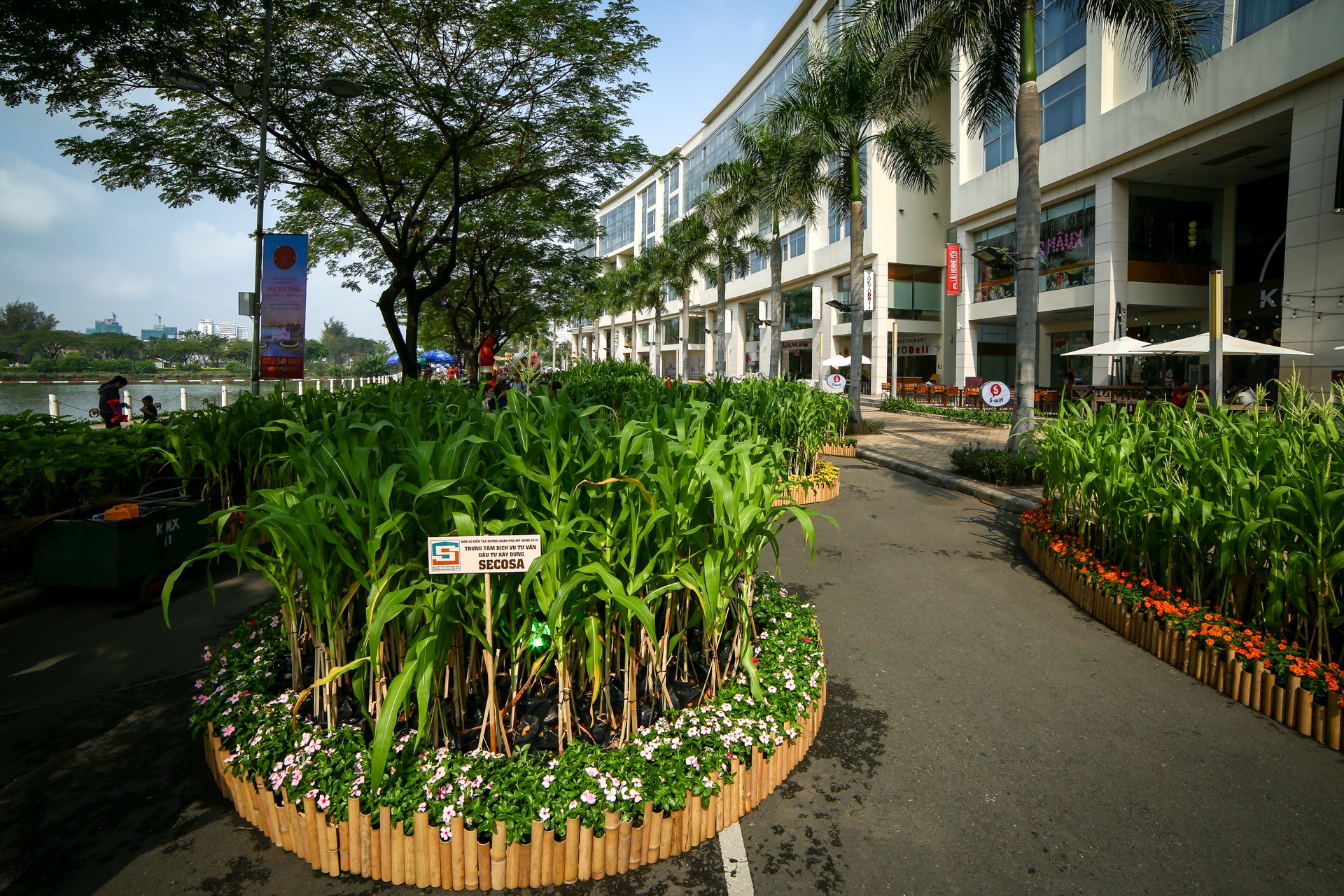 hoi hoa xuan tai anh 3