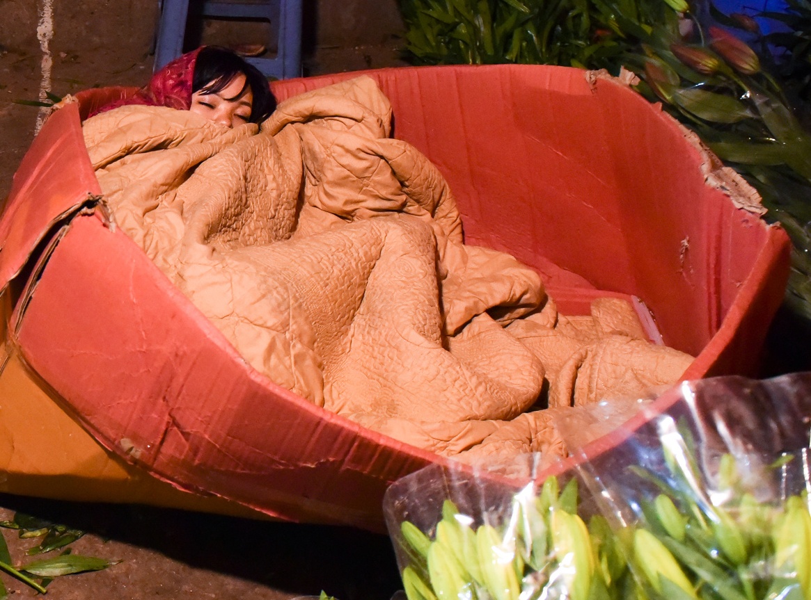 Canh an, ngu ban hoa Tet dem o Ha Noi, Sai Gon hinh anh