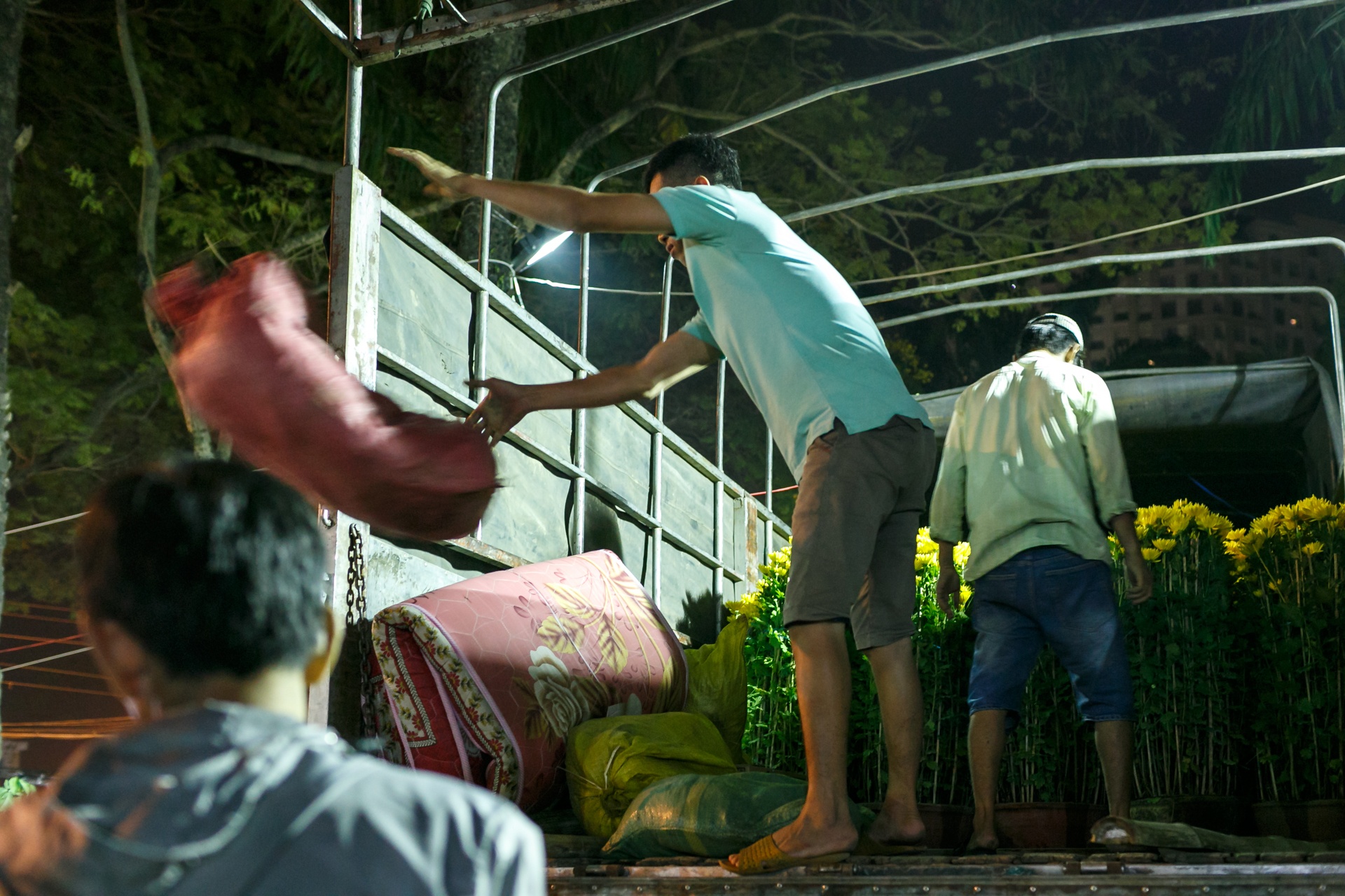 phia sau nhung chau hoa kieng ruc ro ngay Tet anh 4