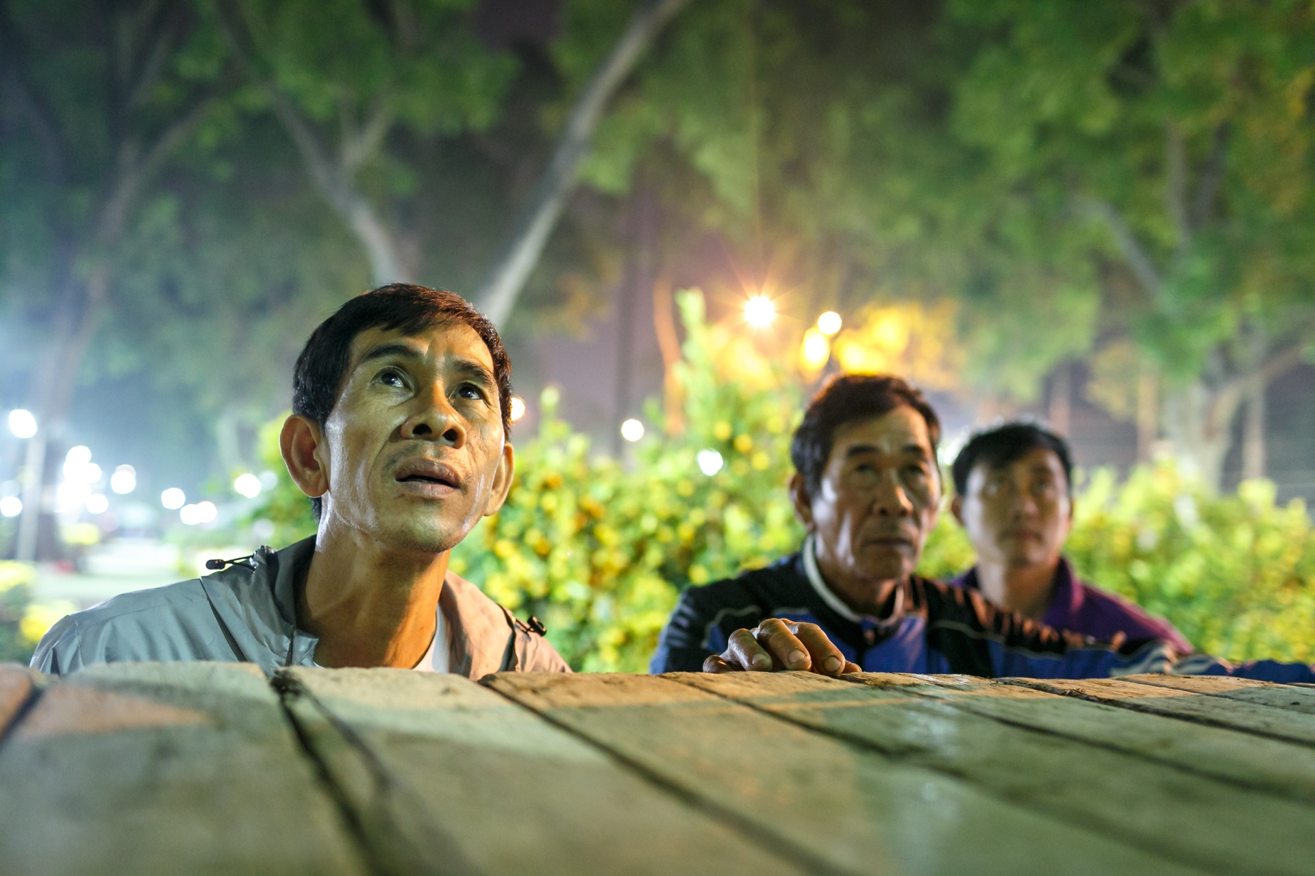 phia sau nhung chau hoa kieng ruc ro ngay Tet anh 2