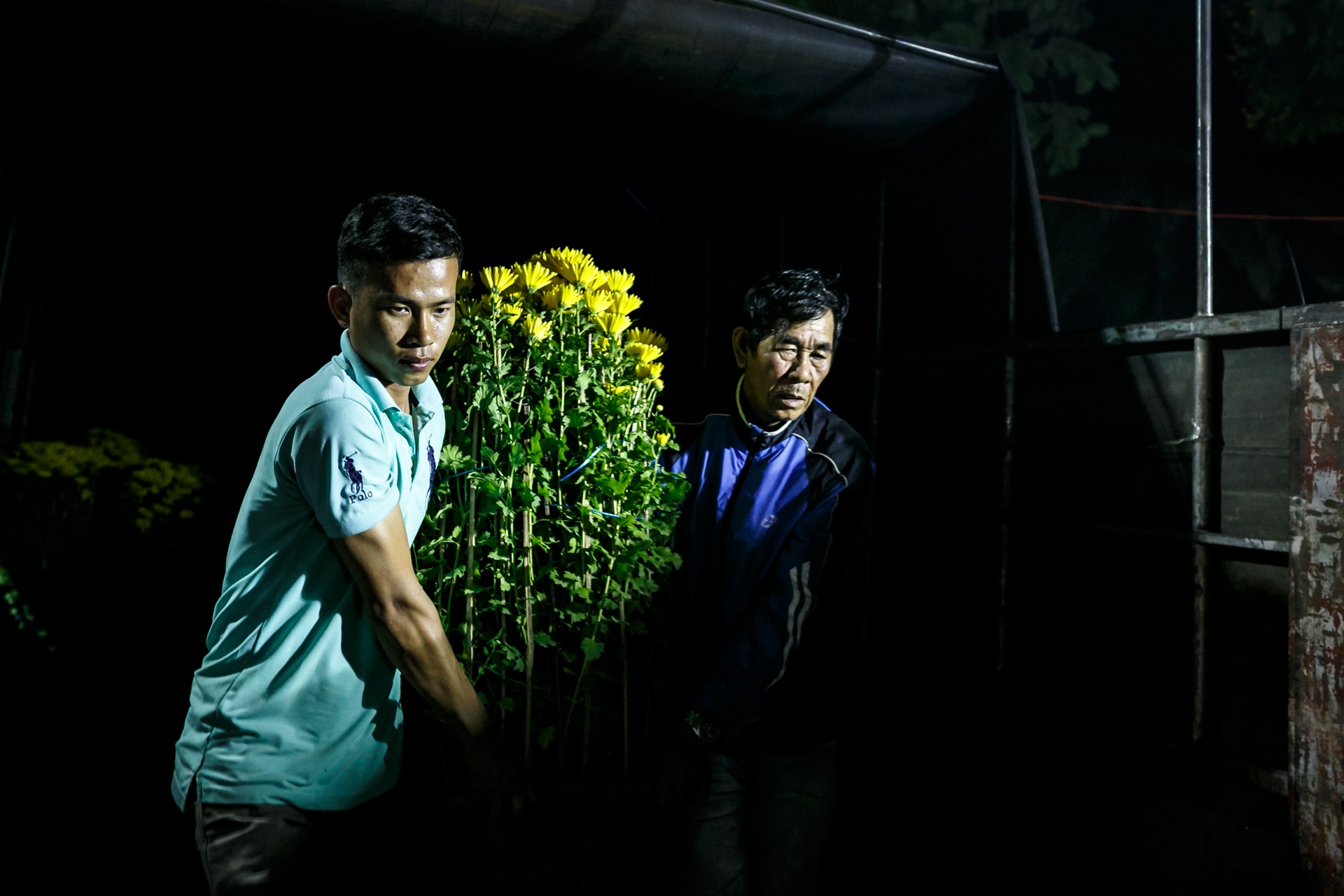 phia sau nhung chau hoa kieng ruc ro ngay Tet anh 24