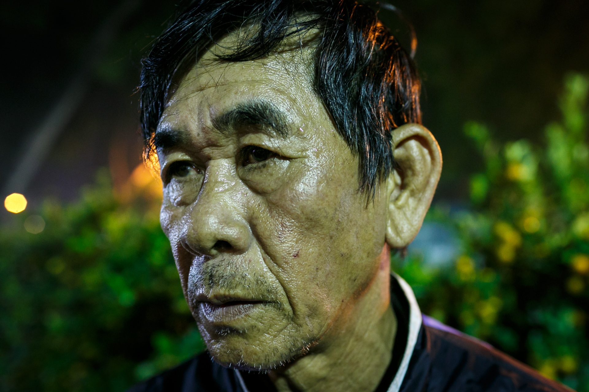 phia sau nhung chau hoa kieng ruc ro ngay Tet anh 26