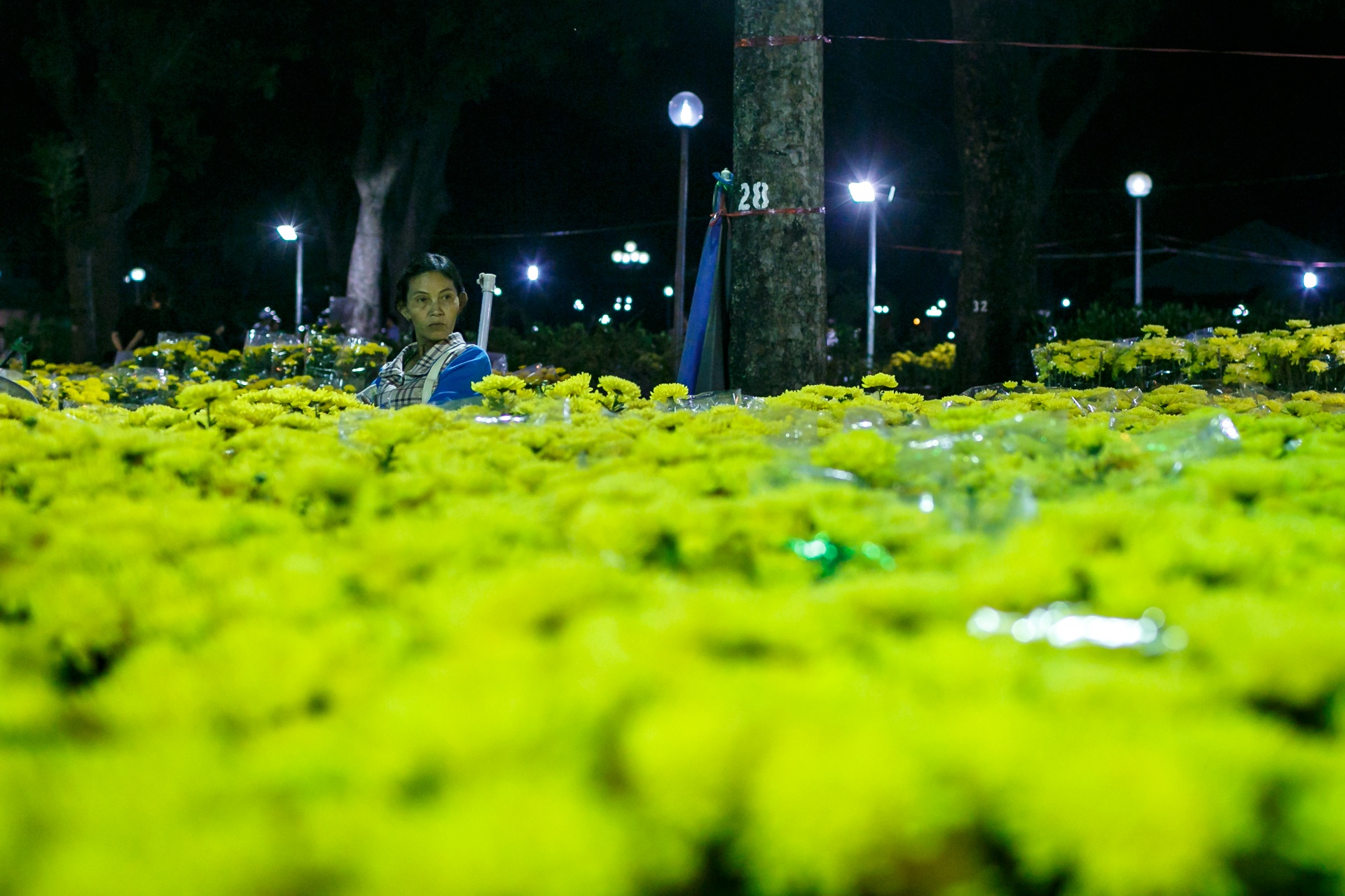 phia sau nhung chau hoa kieng ruc ro ngay Tet anh 38