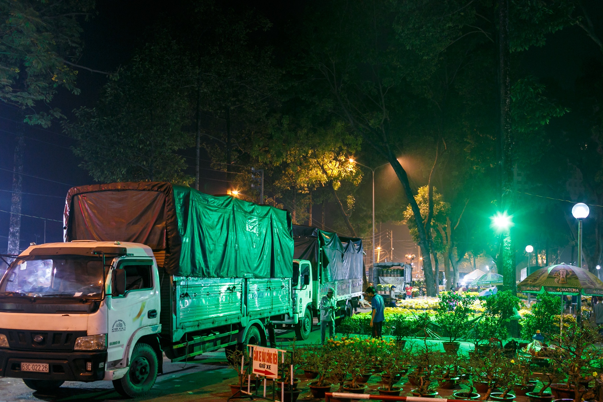 phia sau nhung chau hoa kieng ruc ro ngay Tet anh 18