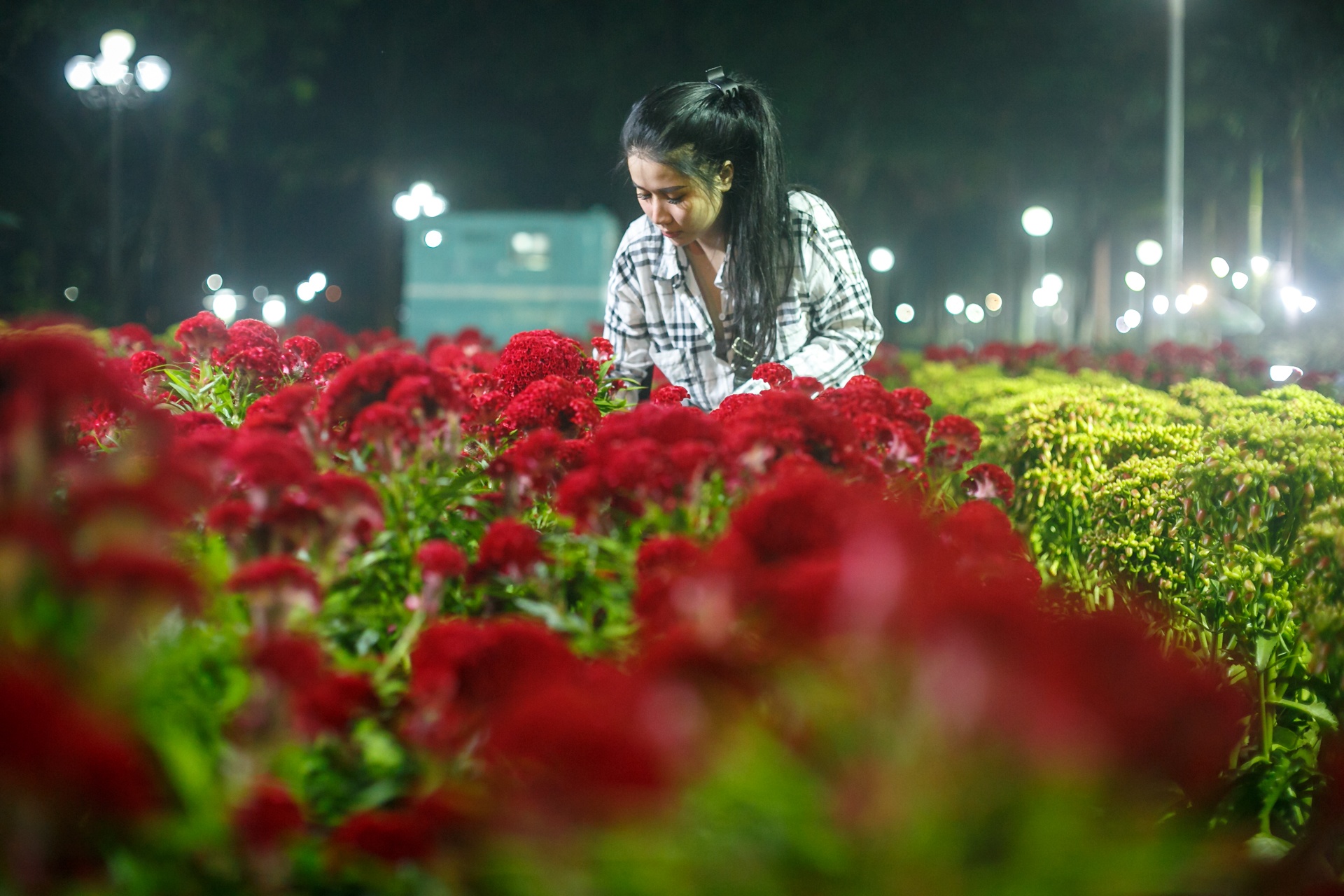 phia sau nhung chau hoa kieng ruc ro ngay Tet anh 12