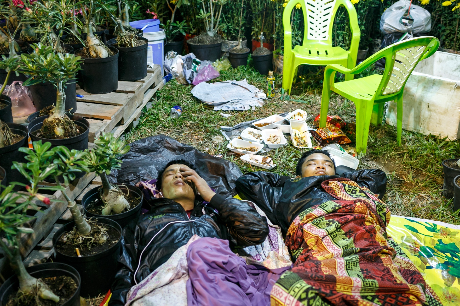 phia sau nhung chau hoa kieng ruc ro ngay Tet anh 34