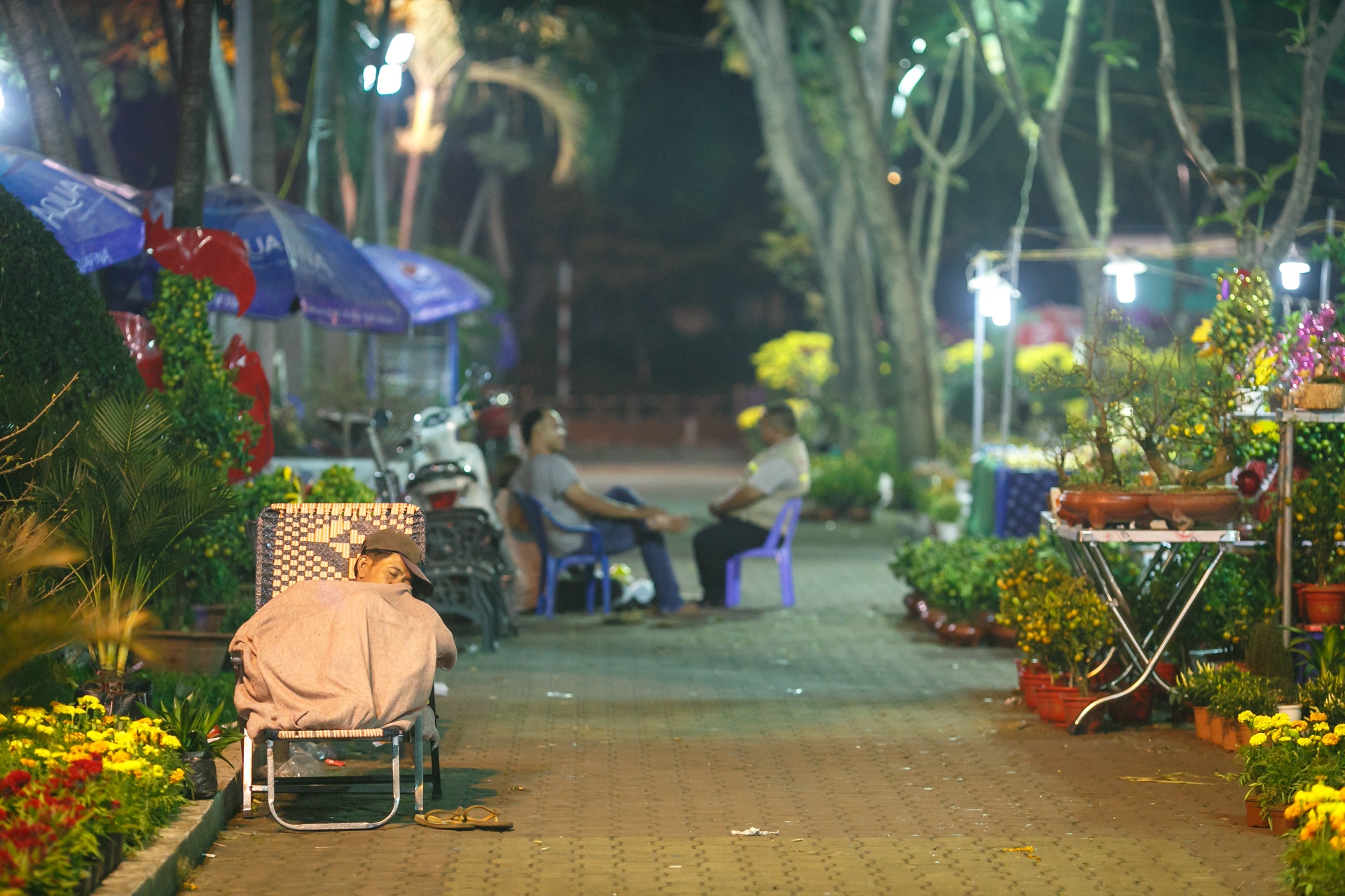 phia sau nhung chau hoa kieng ruc ro ngay Tet anh 37