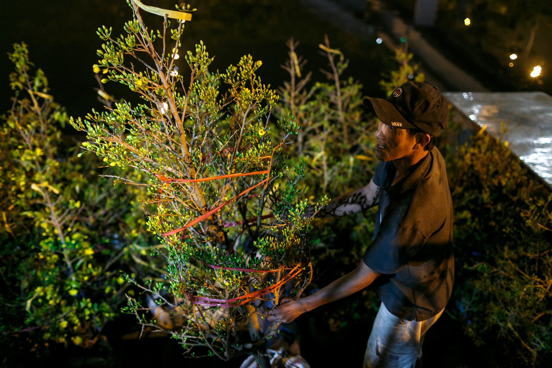 phia sau nhung chau hoa kieng ruc ro ngay Tet anh 13