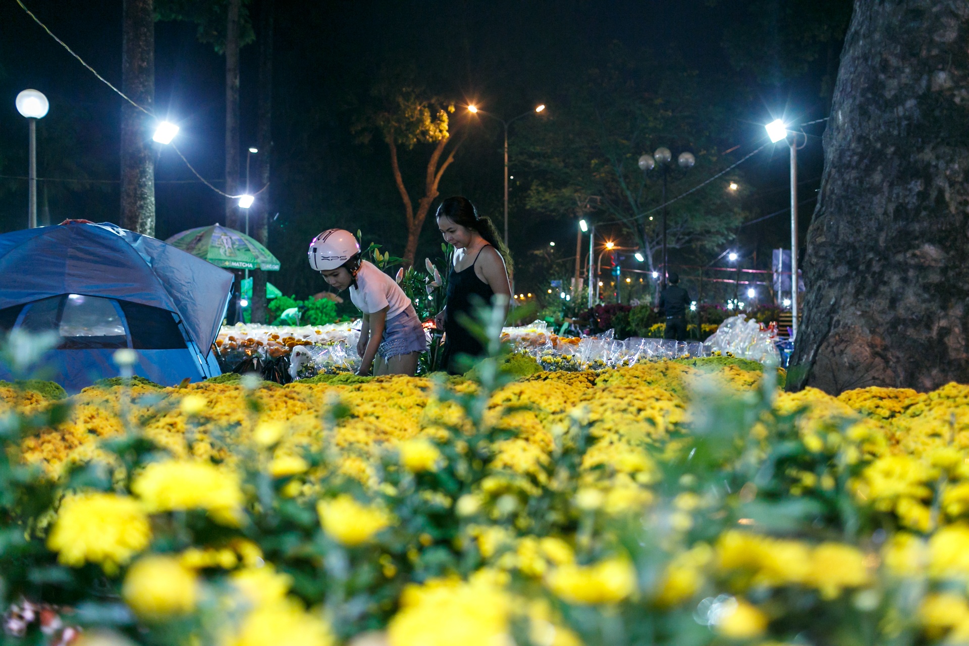 phia sau nhung chau hoa kieng ruc ro ngay Tet anh 45