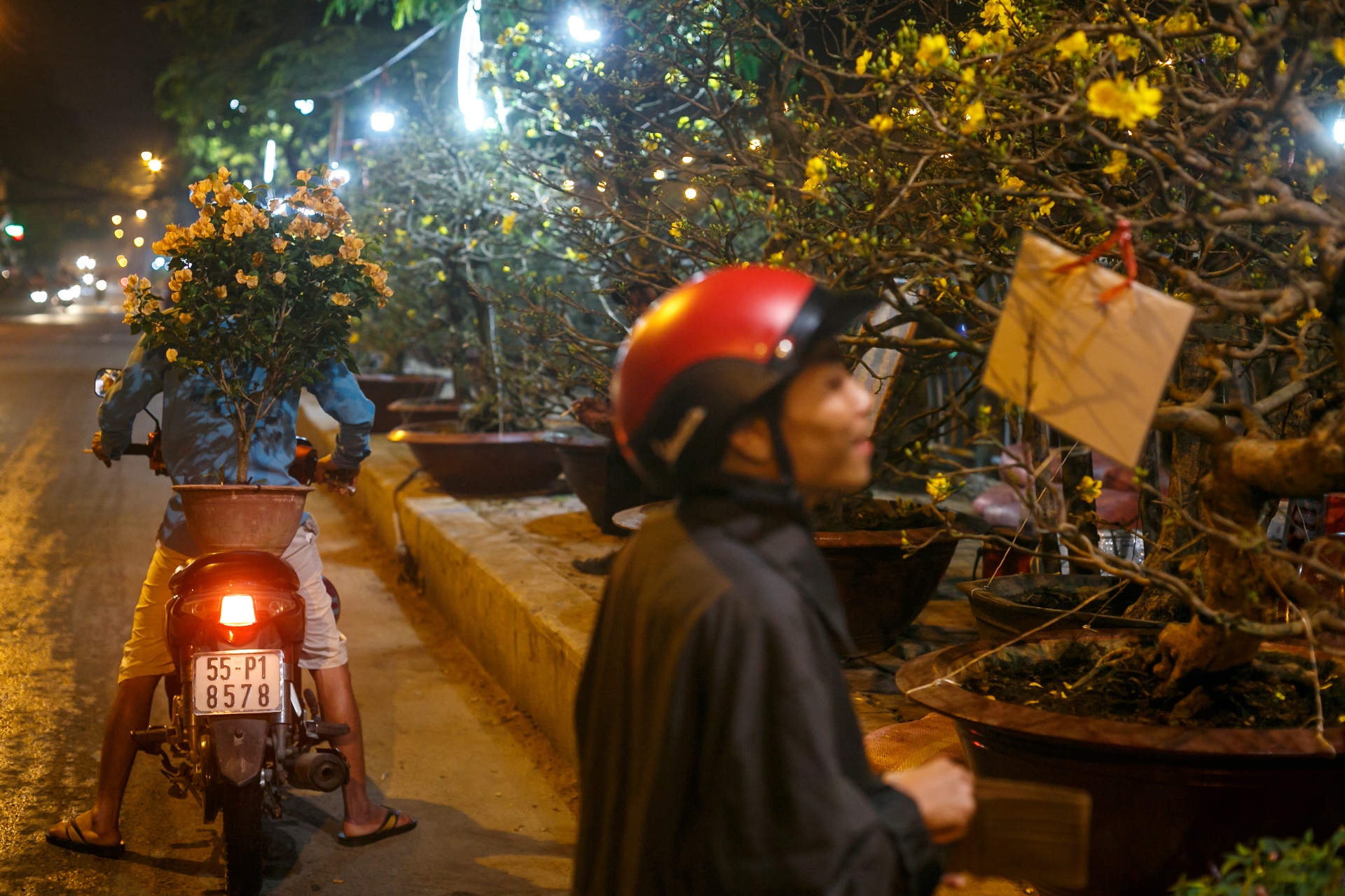 phia sau nhung chau hoa kieng ruc ro ngay Tet anh 47