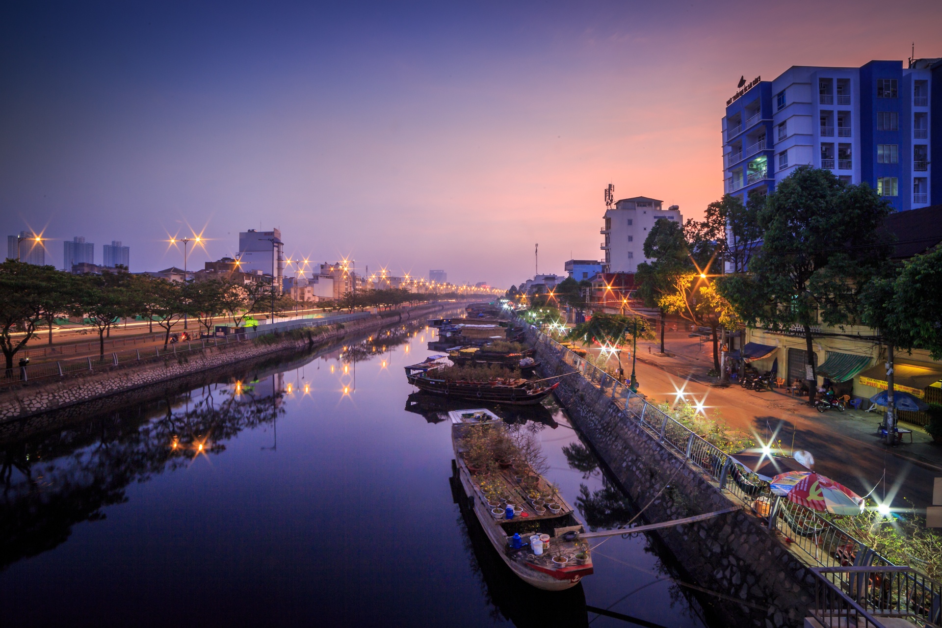 phia sau nhung chau hoa kieng ruc ro ngay Tet anh 51