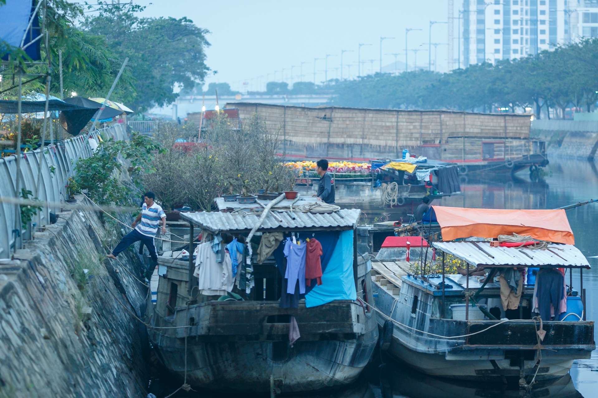 phia sau nhung chau hoa kieng ruc ro ngay Tet anh 50