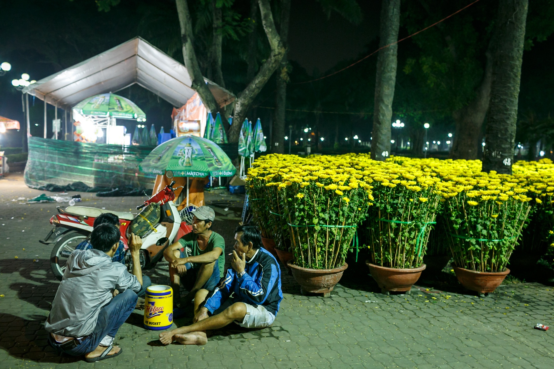 phia sau nhung chau hoa kieng ruc ro ngay Tet anh 49