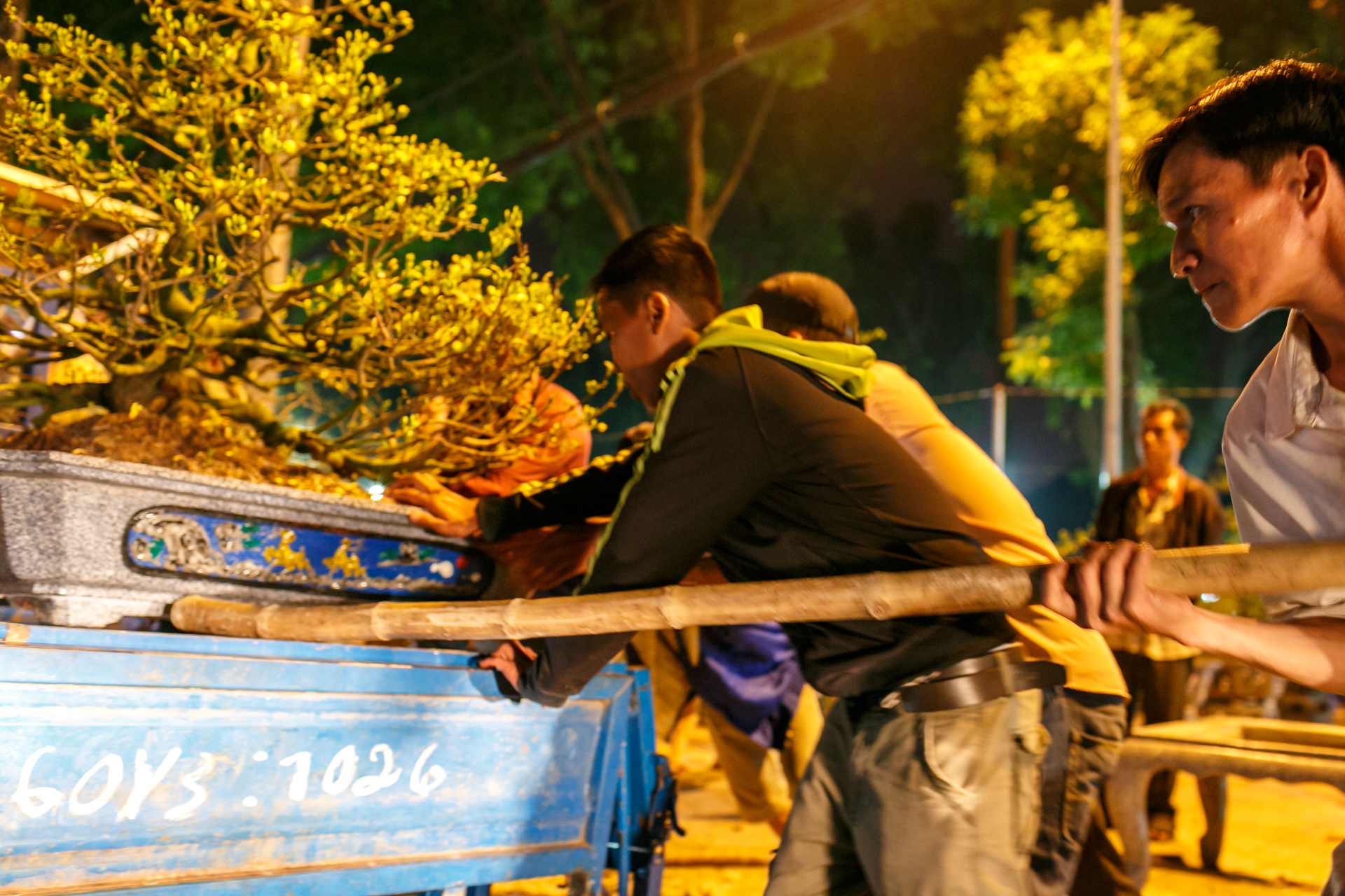 phia sau nhung chau hoa kieng ruc ro ngay Tet anh 48