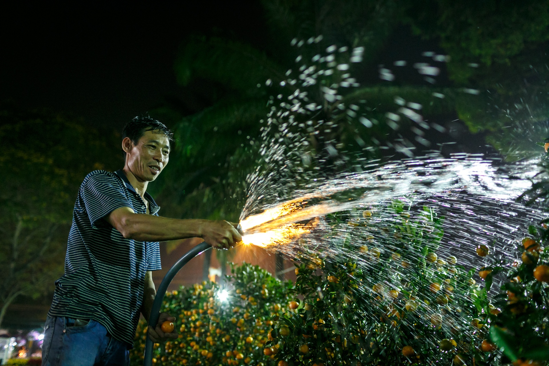 phia sau nhung chau hoa kieng ruc ro ngay Tet anh 16