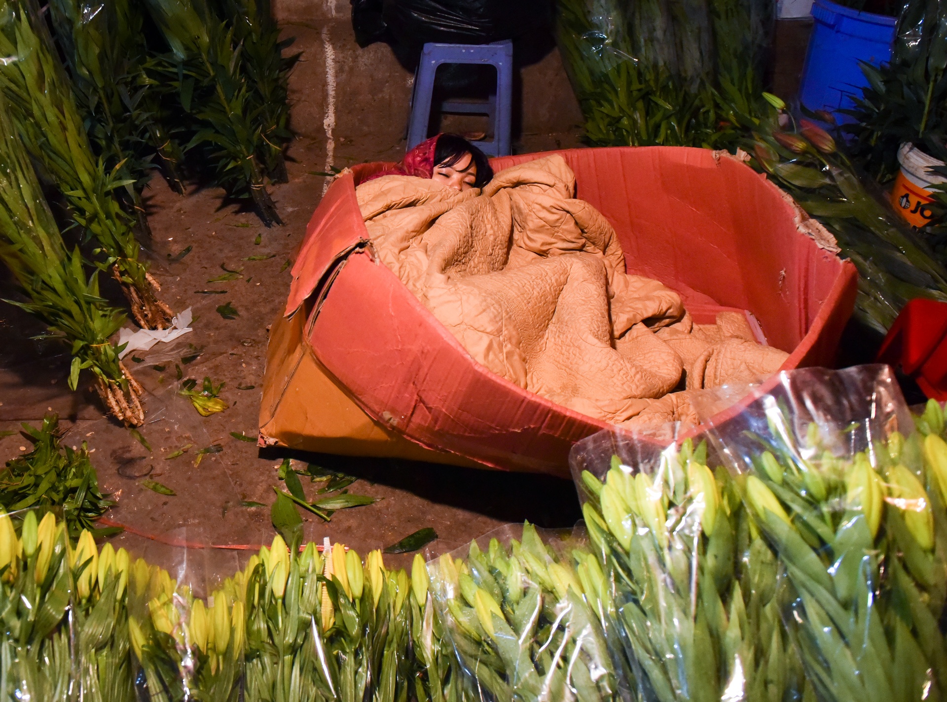 phia sau nhung chau hoa kieng ruc ro ngay Tet anh 31