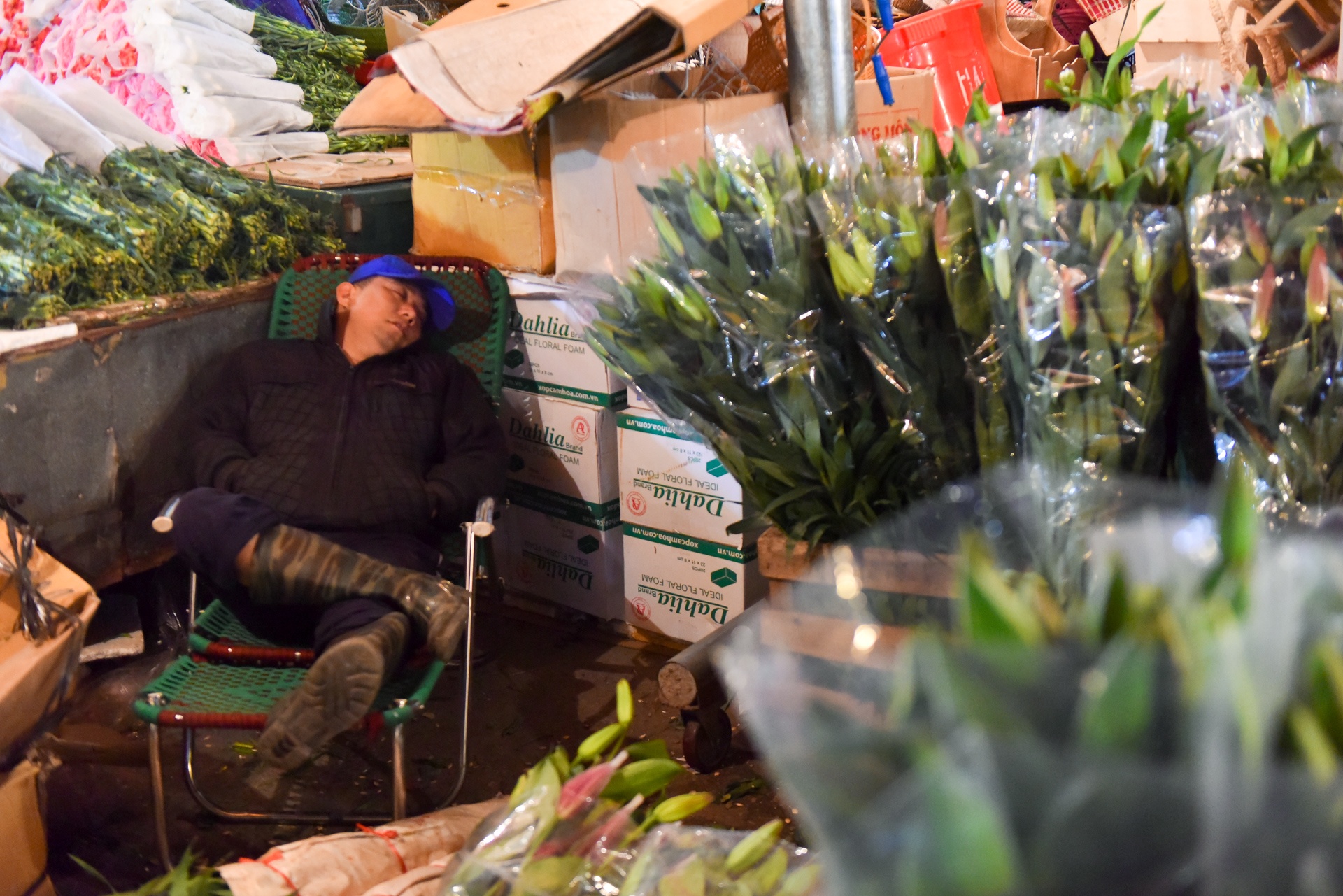 phia sau nhung chau hoa kieng ruc ro ngay Tet anh 29