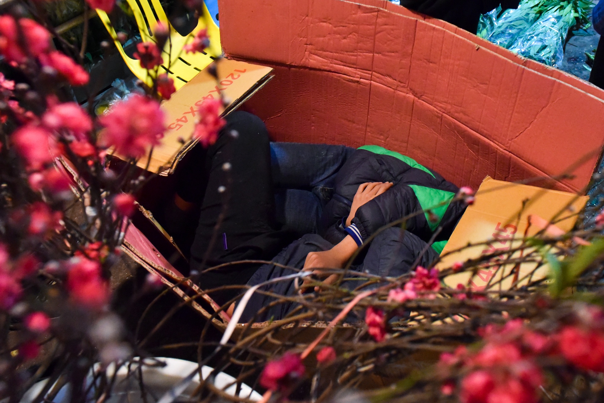 phia sau nhung chau hoa kieng ruc ro ngay Tet anh 32