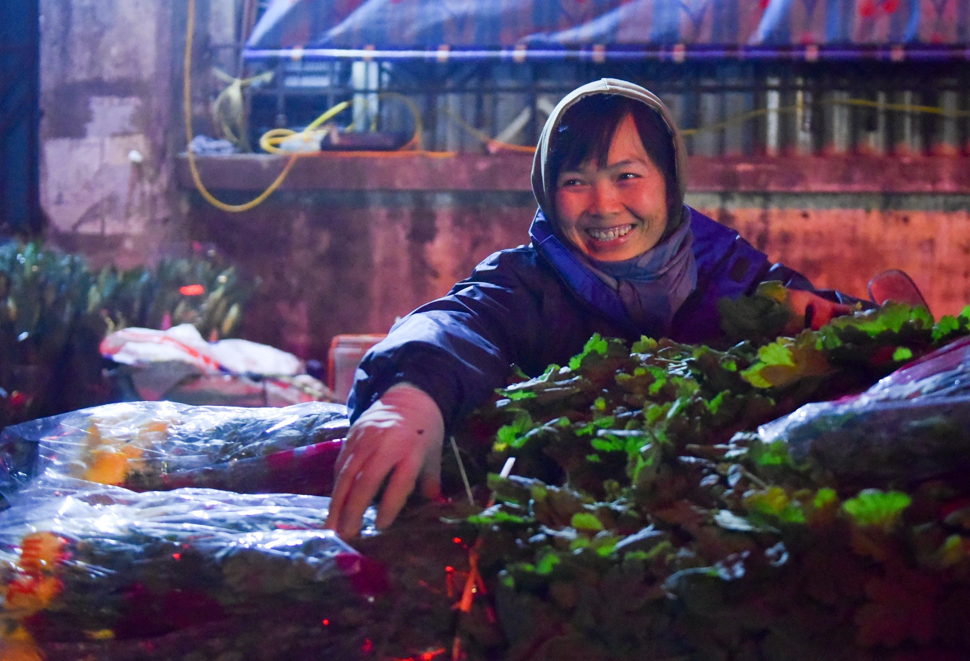 phia sau nhung chau hoa kieng ruc ro ngay Tet anh 42